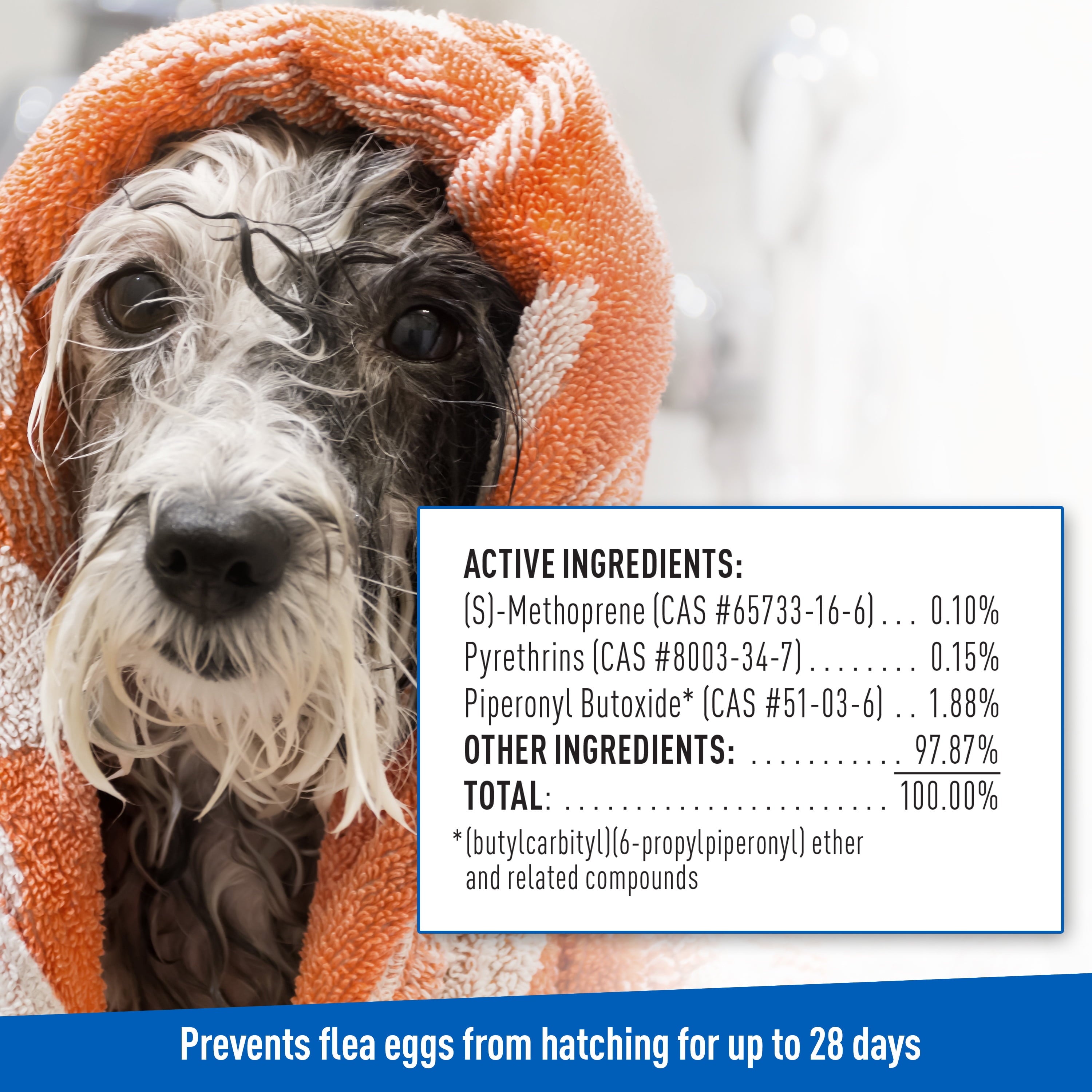 ADAMS Plus Flea & Tick Foaming Shampoo & Wash - 2 Pack