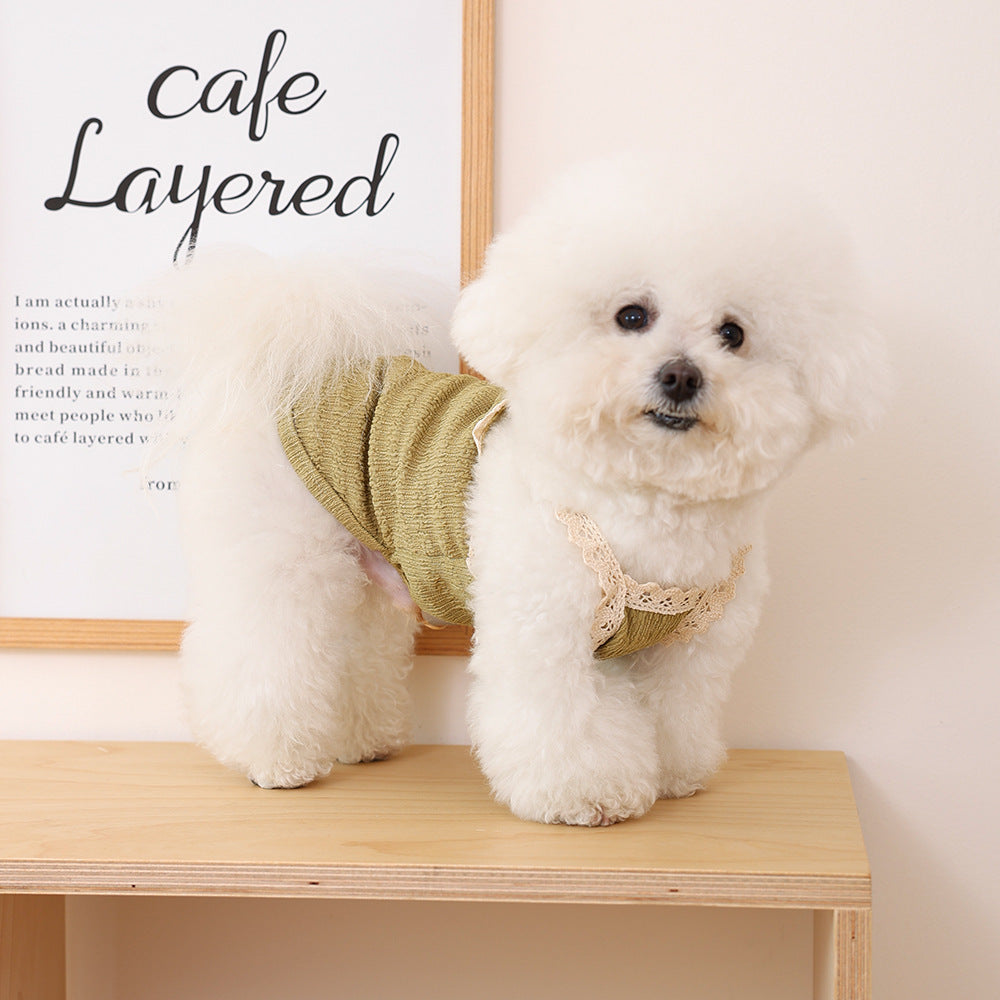 Dog And Cat Clothing