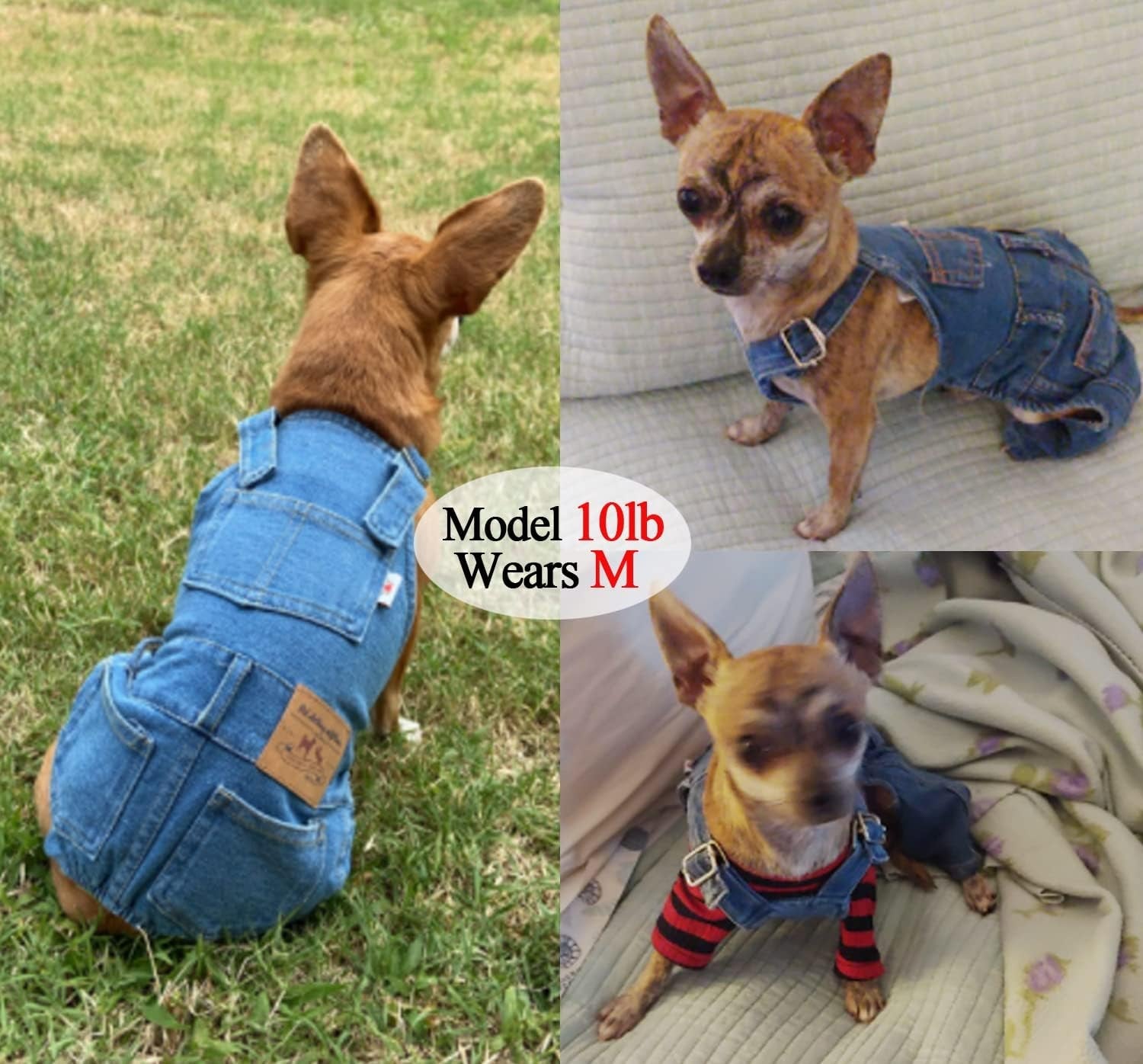 Adjustable Pet Jeans for Small Dogs/ Cats