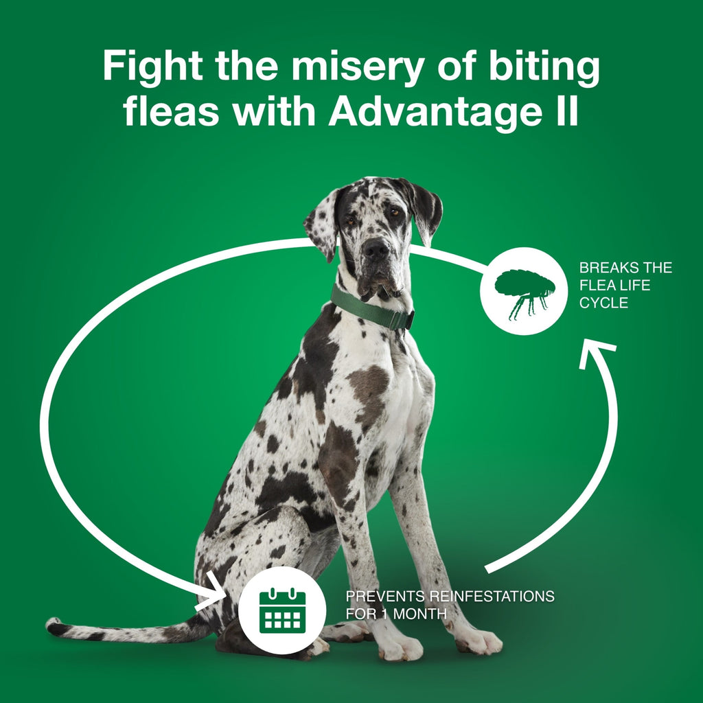 Vet-Recommended Flea Prevention for XL Dogs 55 Lbs+,