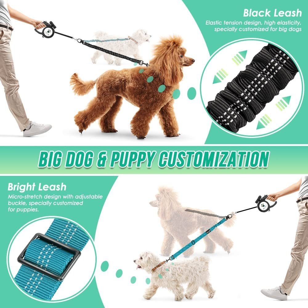 Two Large Dog Anti Tangle Leash