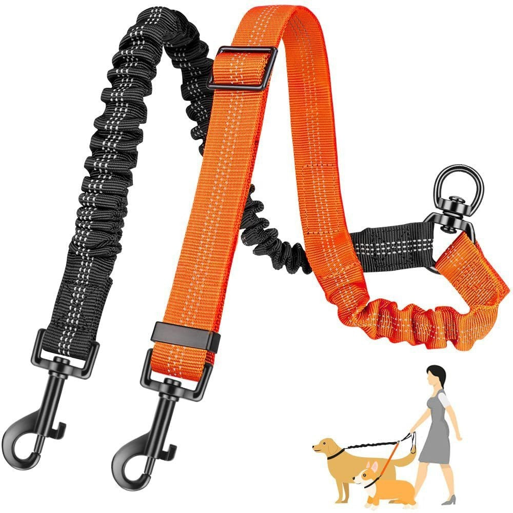 Double Leash for Dogs