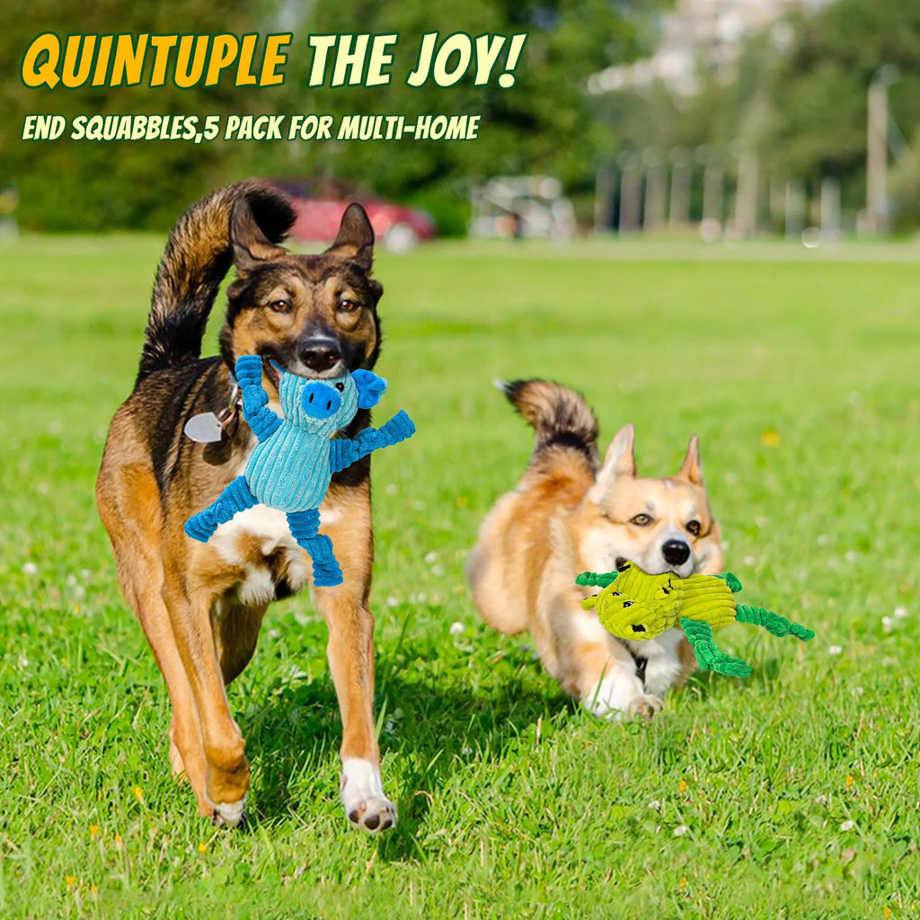 5 Pack Squeaky Dog Toys