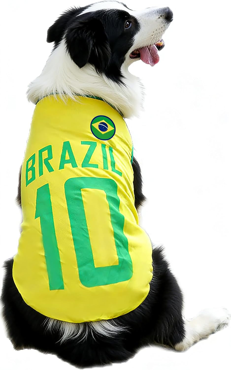 2026 World Cup Soccer Jersey for Pets