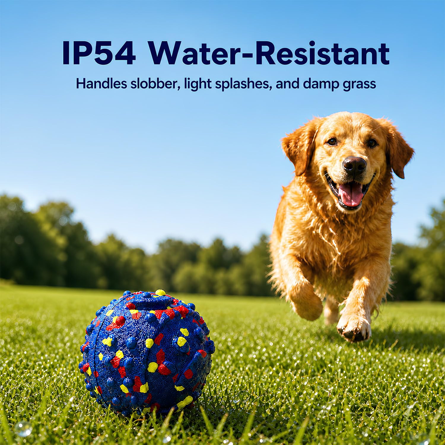Lightweight Moving Dog Toy