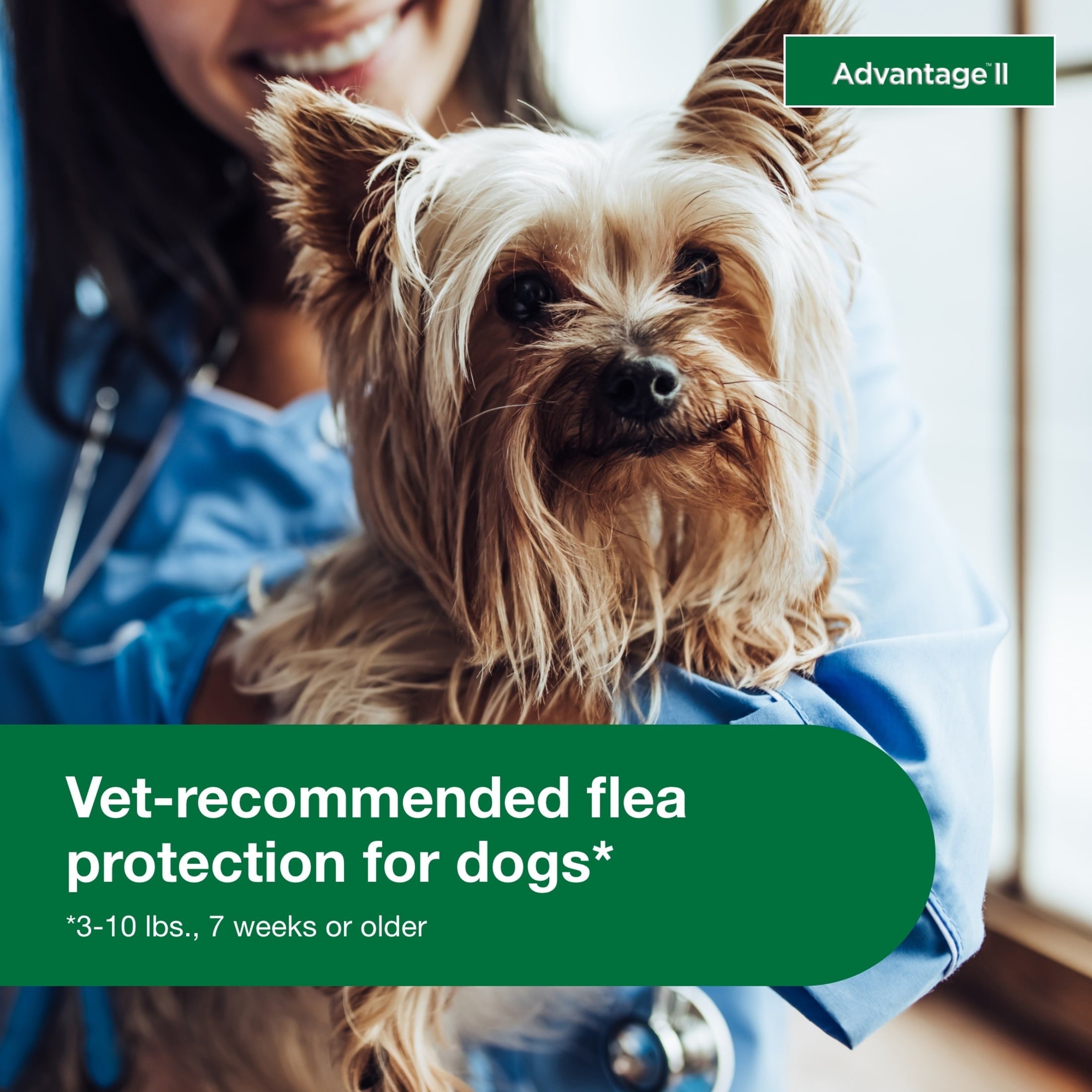 Flea Prevention for Small Dogs 3-10 Lbs / 6-Monthly Treatments