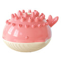 Floating Water Spray Dog Toy