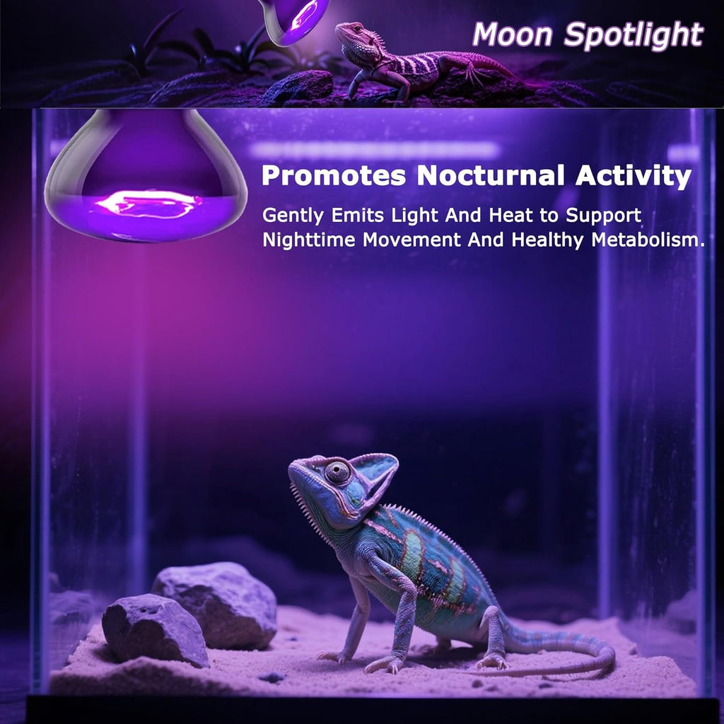 Night Heat Bulb for Reptiles / 2 Pack