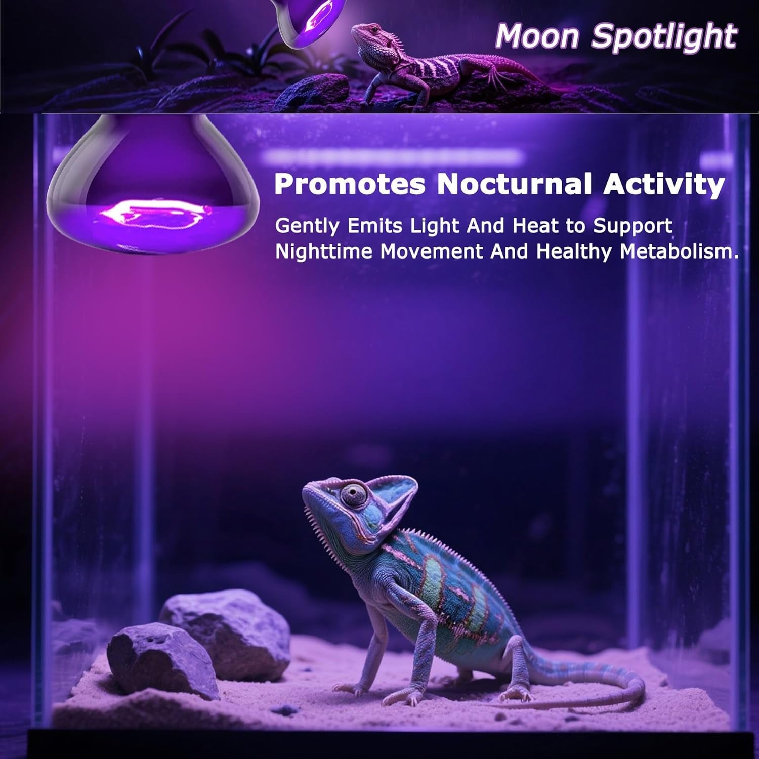 Night Heat Bulb for Reptiles / 2 Pack