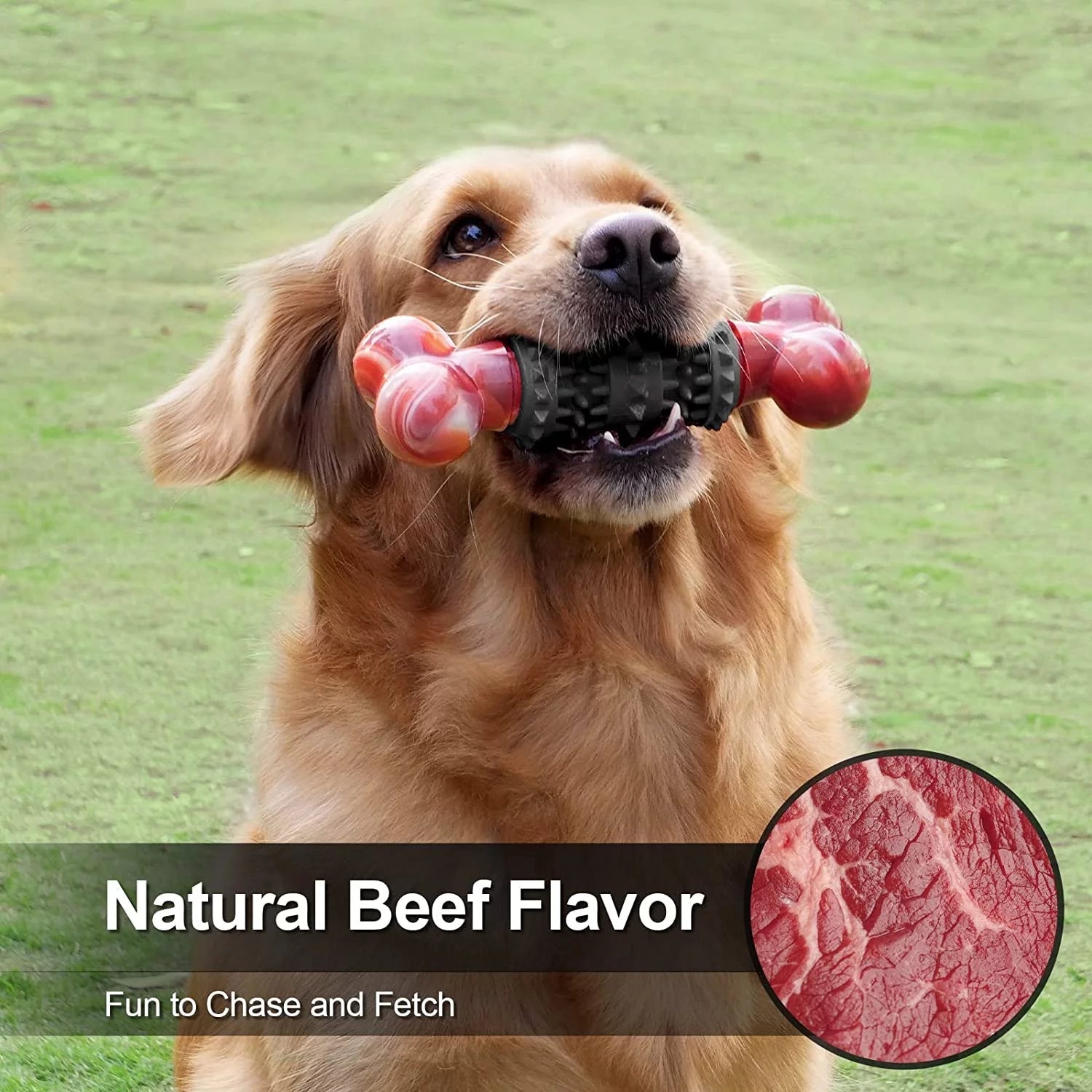 Dog  Bone for Aggressive Chewers
