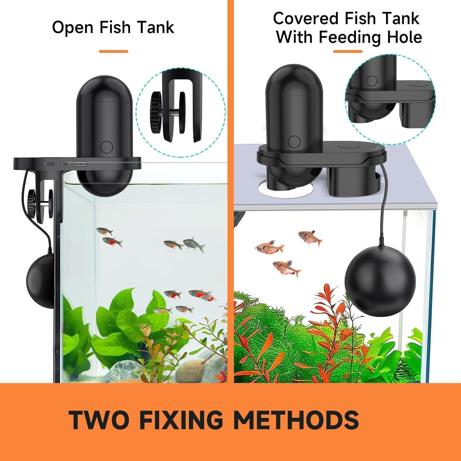 Automatic Fish Feeder with Camera