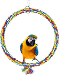 Budgie Swing for Birds