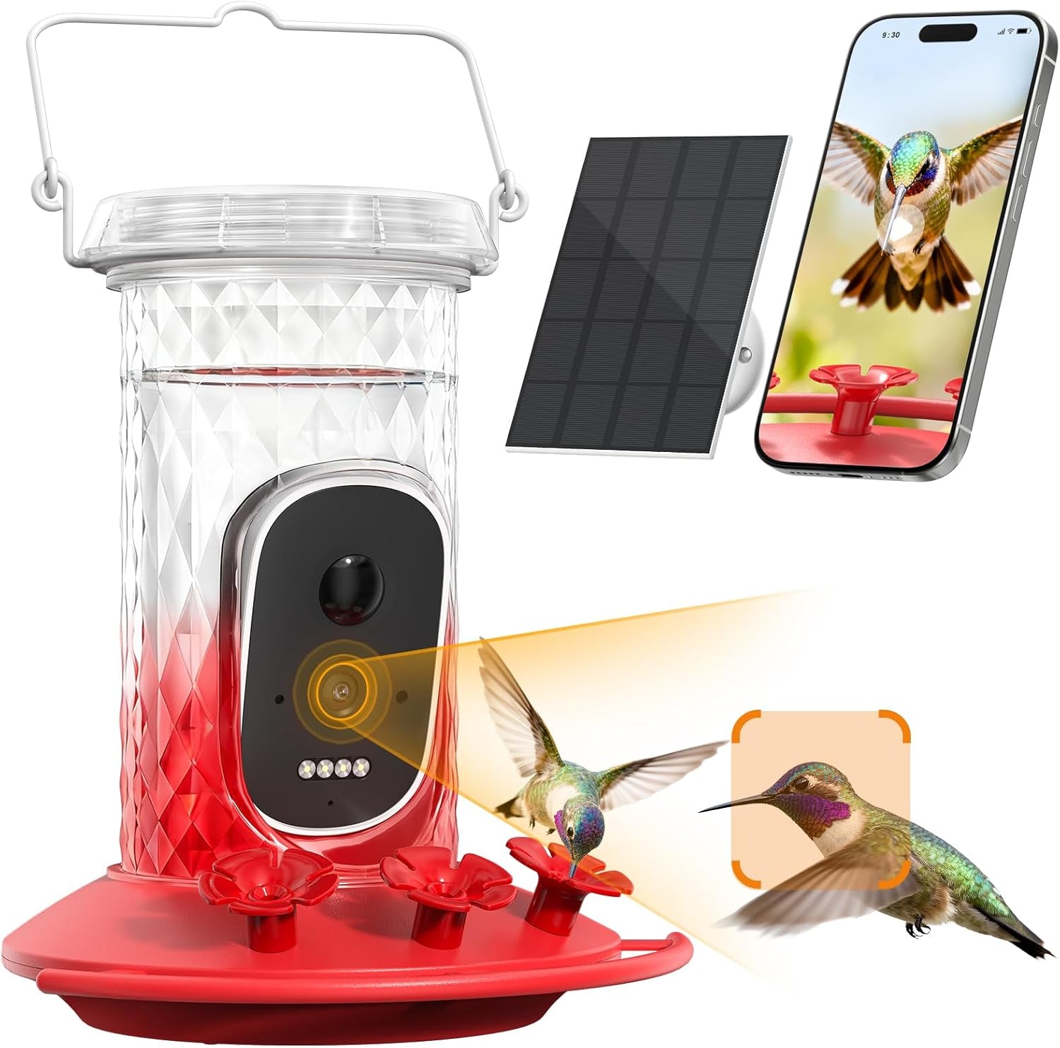 Solar Hummingbird Feeder with Camera