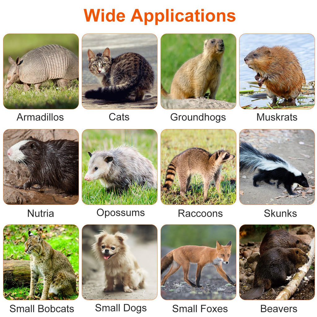 Live Humane Animal Trap