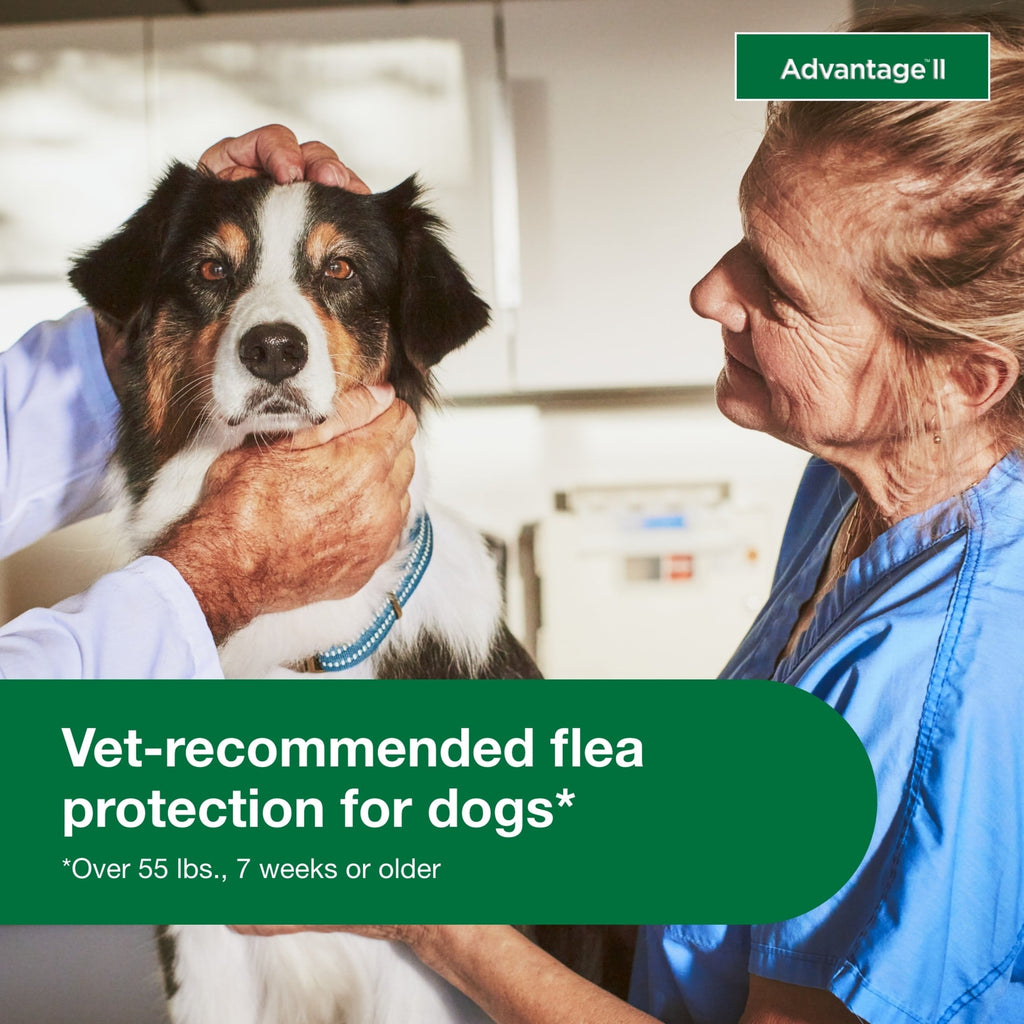 Vet-Recommended Flea Prevention for XL Dogs 55 Lbs+,