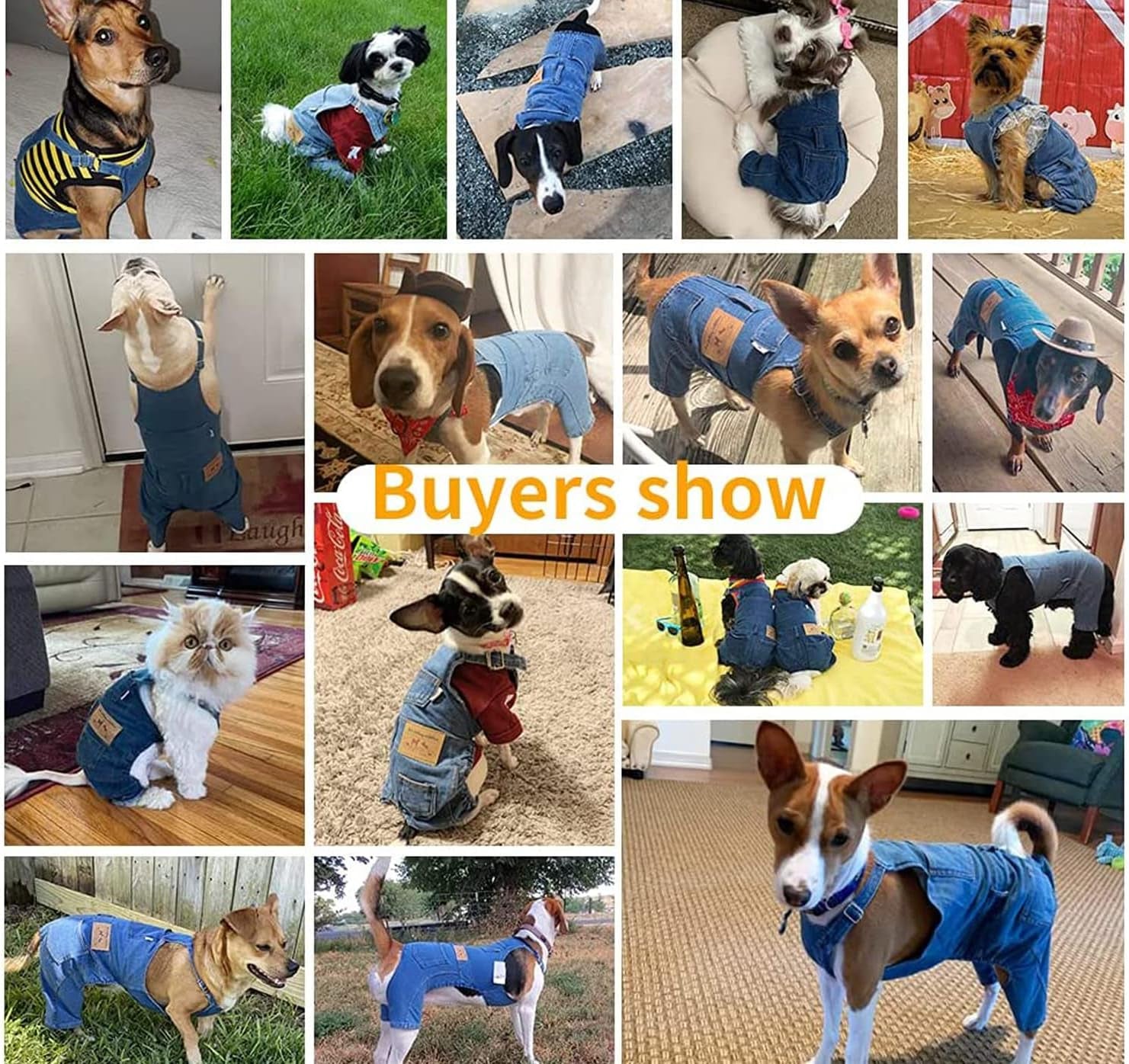 Adjustable Pet Jeans for Small Dogs/ Cats