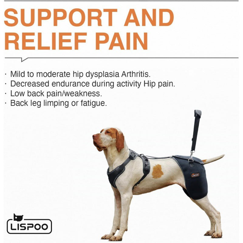 Hip Joint Knee Support Brace For Dogs With Chest Harness