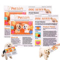 Indestructible Newspaper Dog Toy / 2-Pack