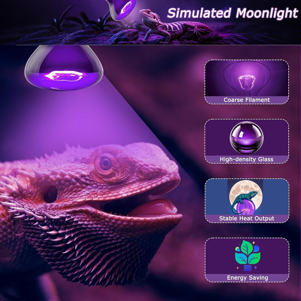 Night Heat Bulb for Reptiles / 2 Pack