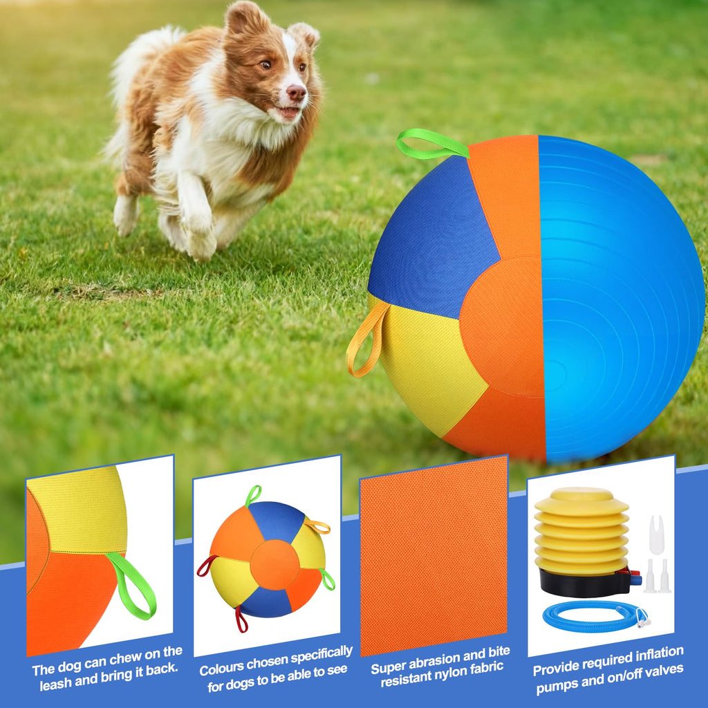 Large Dog Ball With Handles