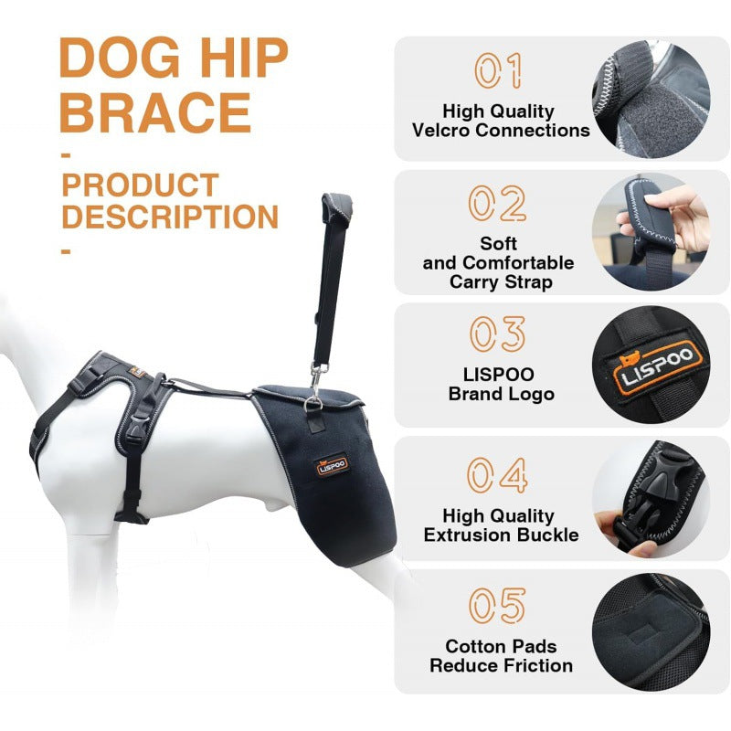 Hip Joint Knee Support Brace For Dogs With Chest Harness