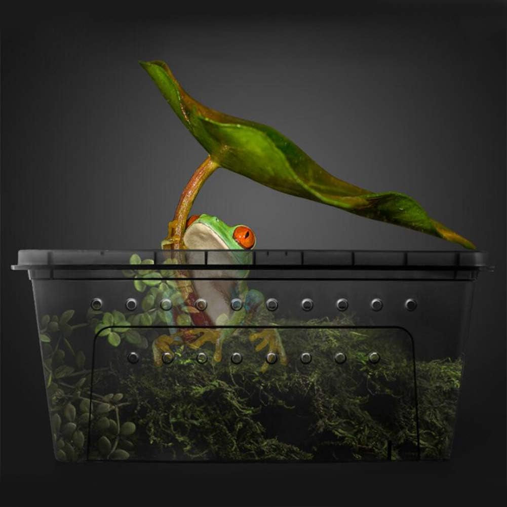 Portable Reptile Terrarium