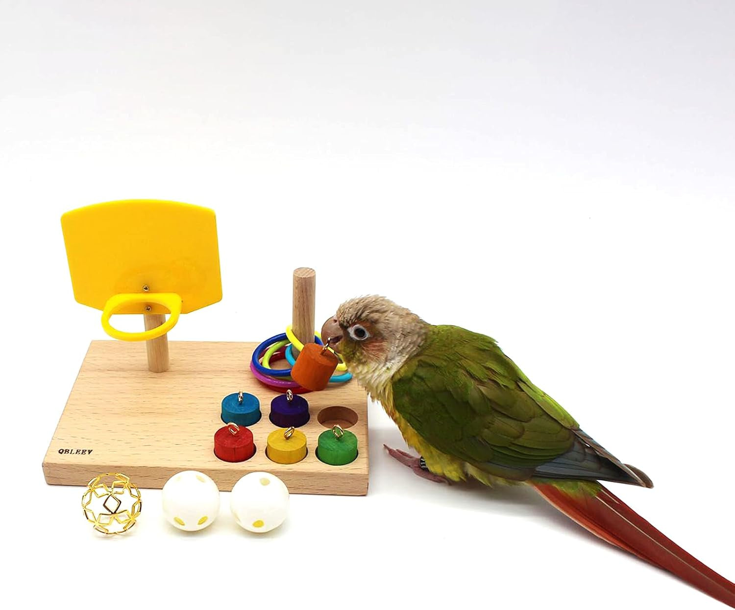 Bird Toys for Budgies and Parrots