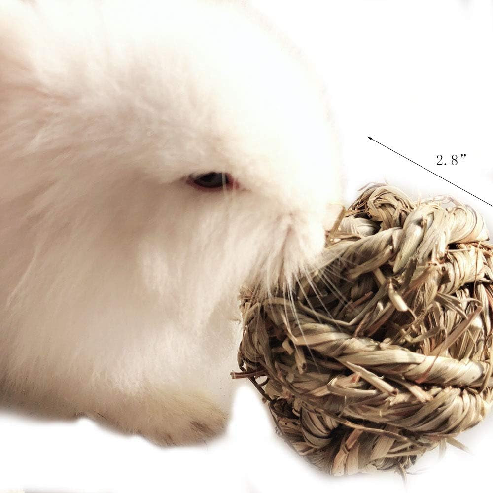 Timothy Grass Chew Ball for Bunnies, Hamsters, and Guinea Pigs! 🐰🐹🥳