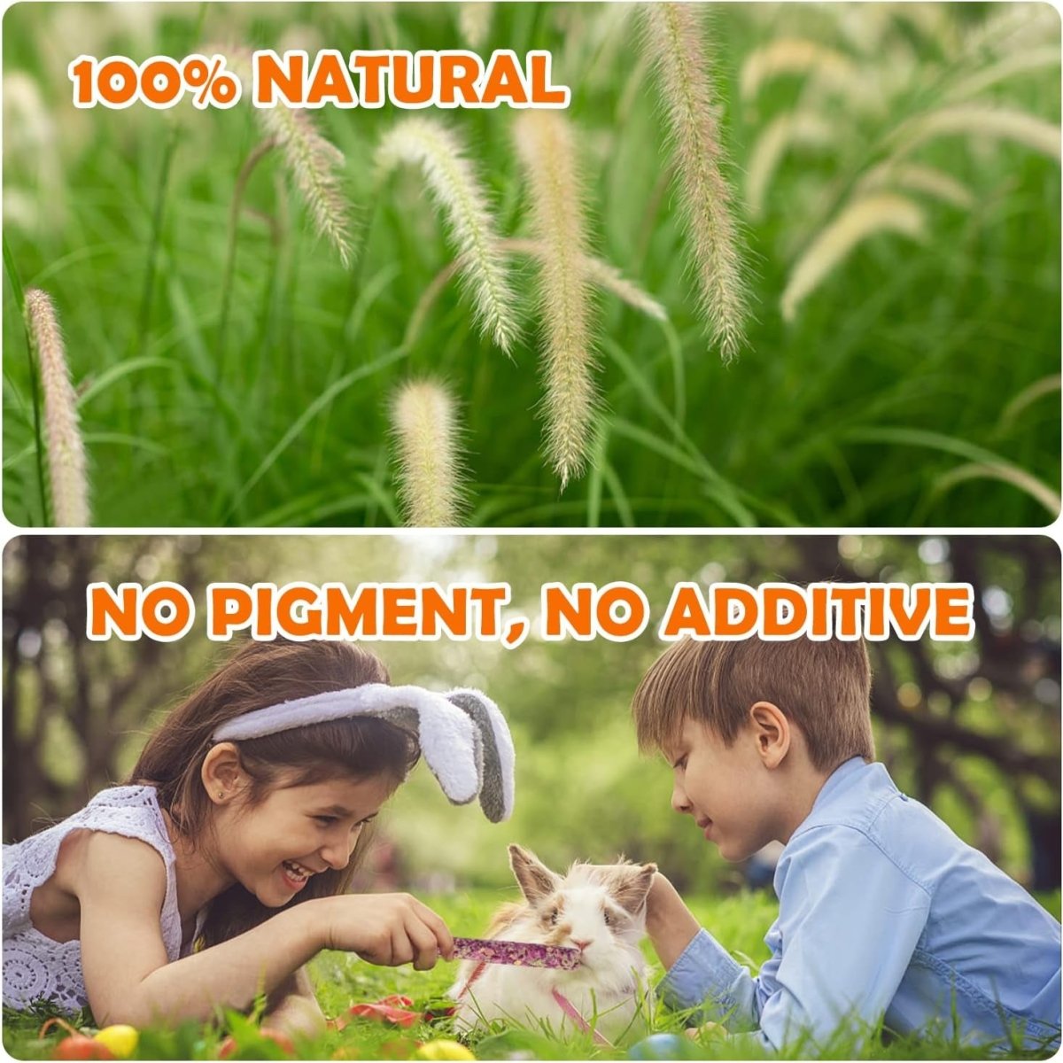 Timothy Hay Sticks for Small Pets /32Pcs