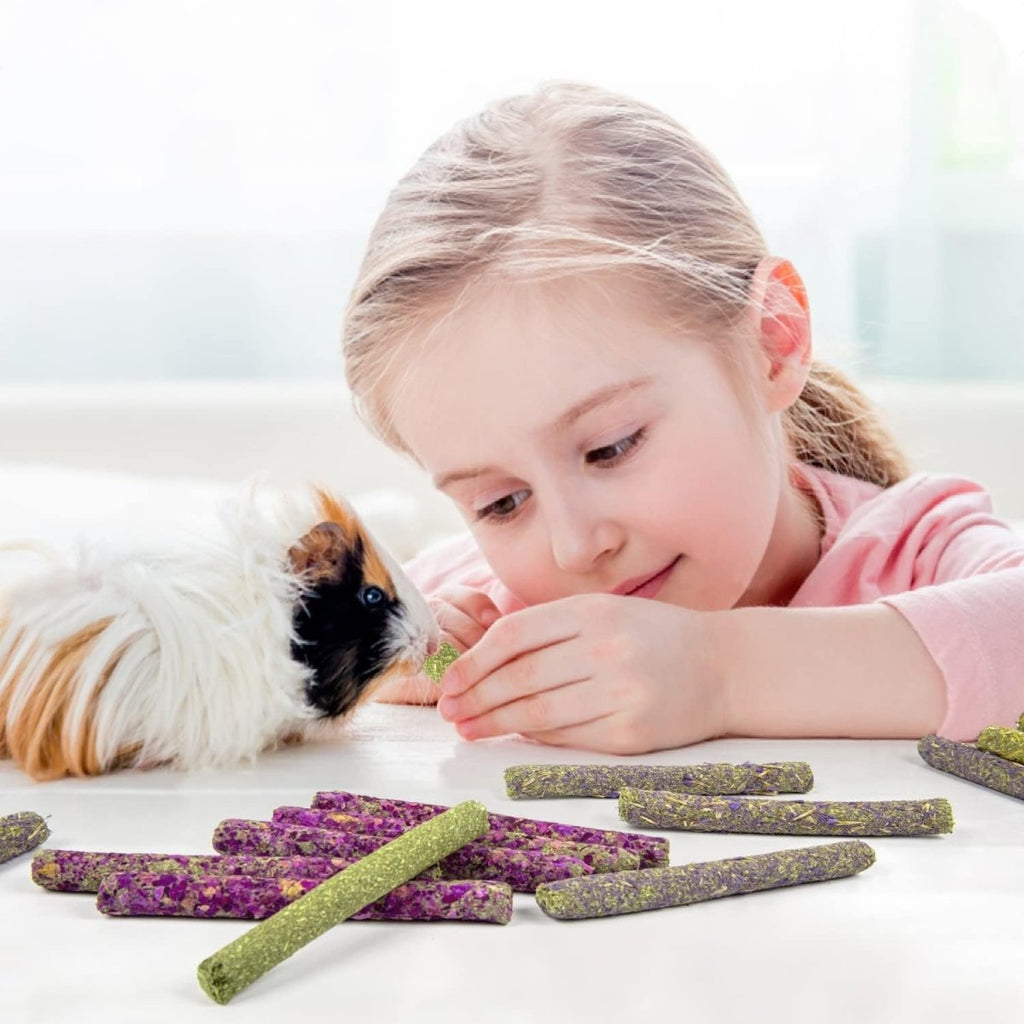 Timothy Hay Sticks for Small Pets /32Pcs