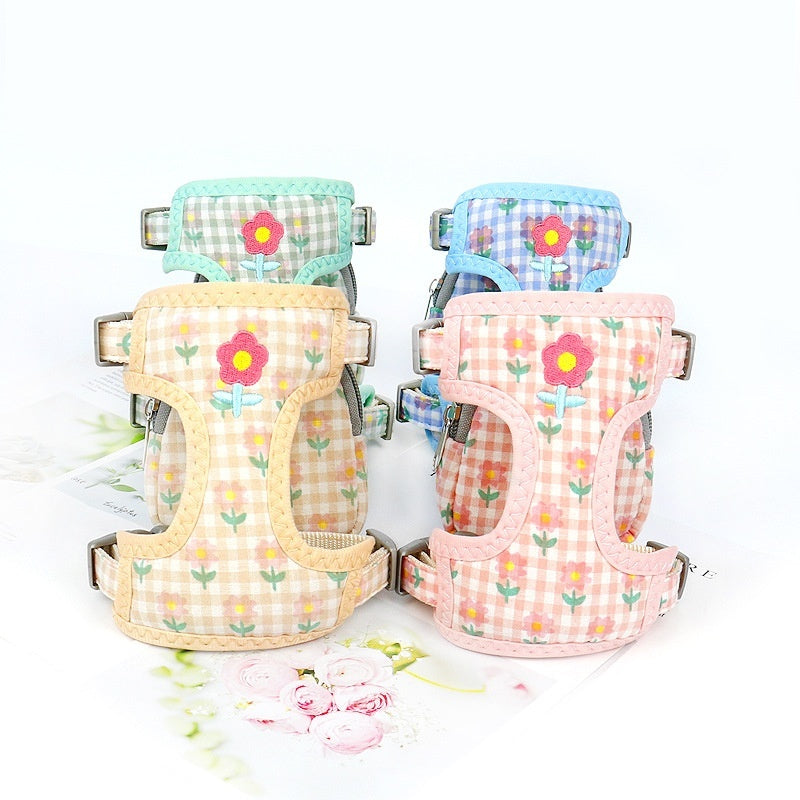 Small Dog  Leash & Harness