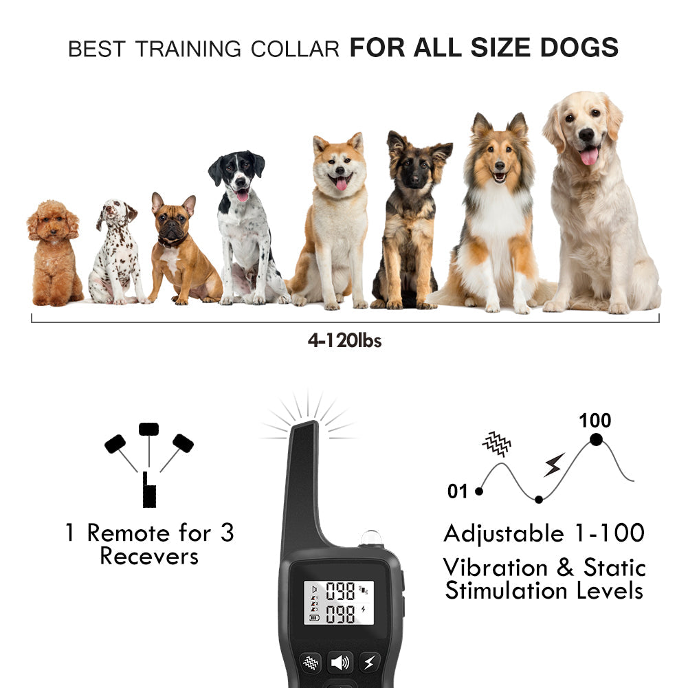 Remote Control Pet Trainer