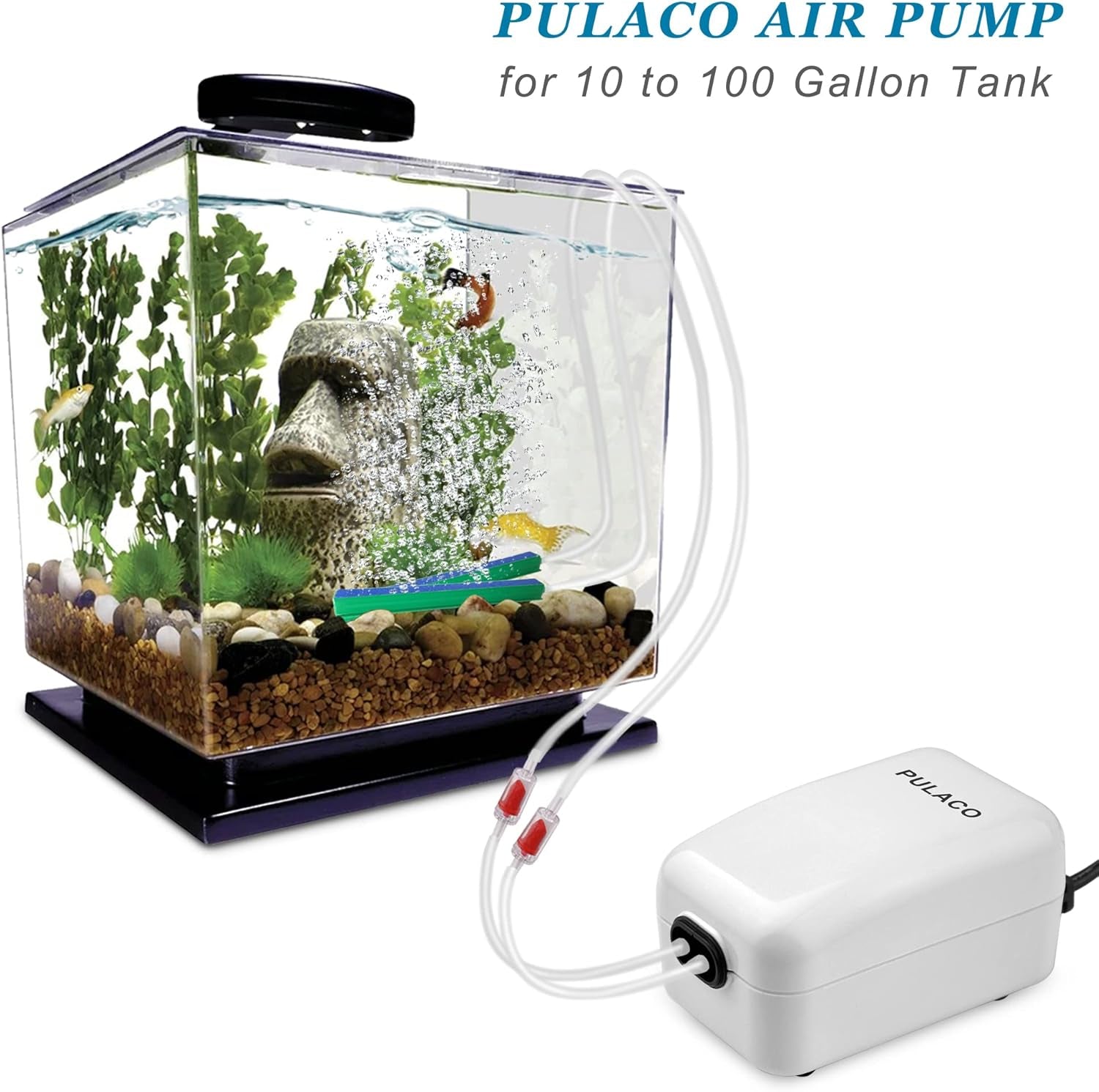 Quiet Oxygen Pump Kit 10–100 Gallon