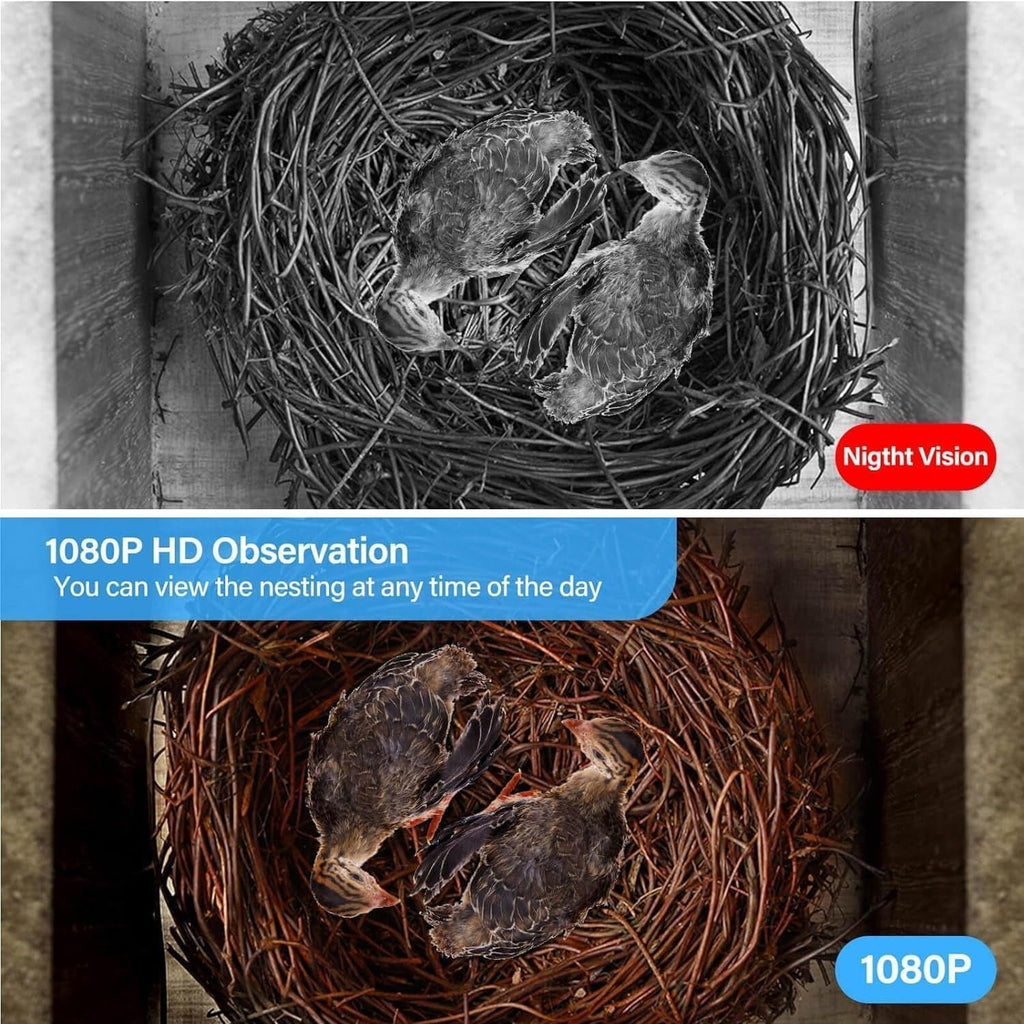 Nest Monitoring Birdhouse Camera