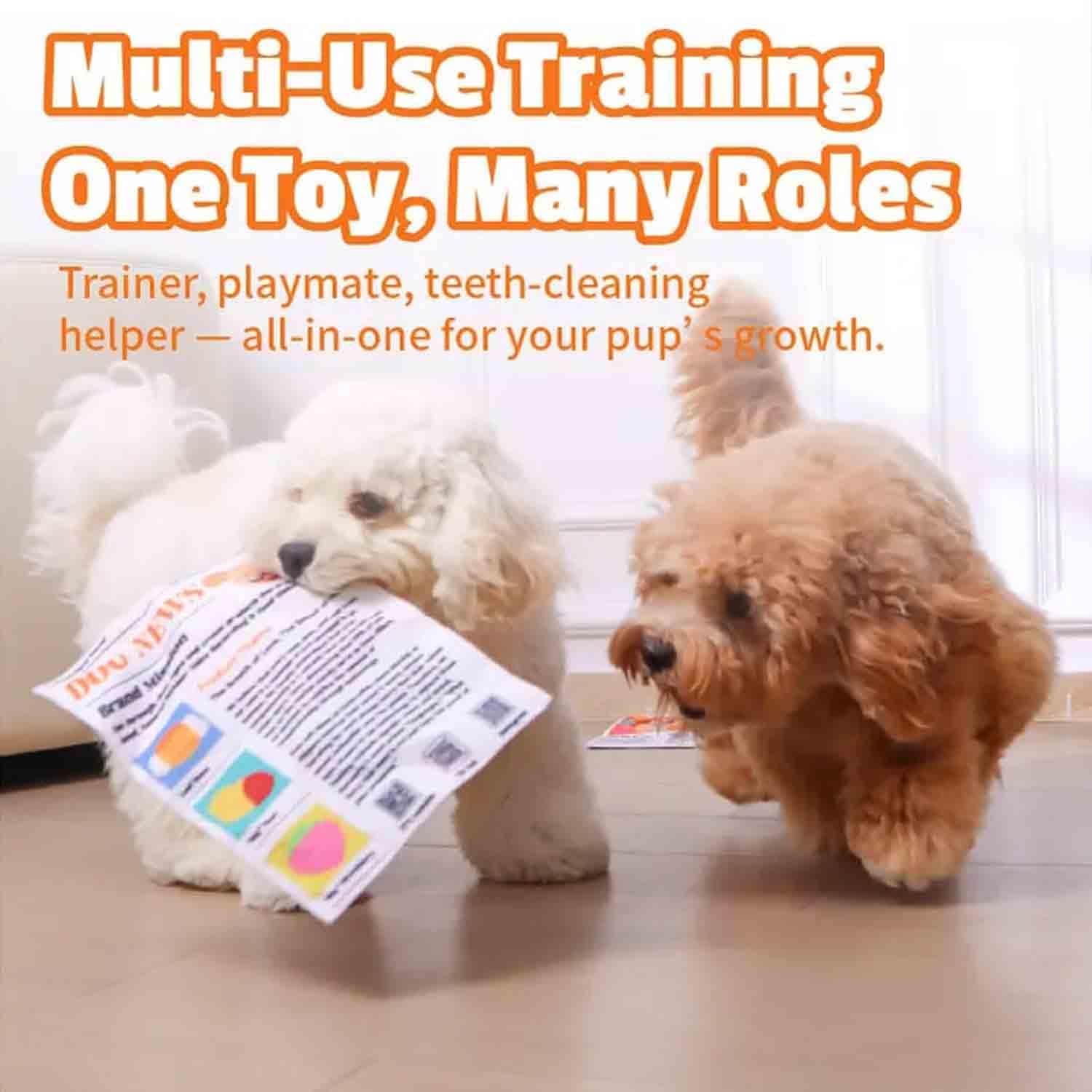 Indestructible Newspaper Dog Toy / 2-Pack