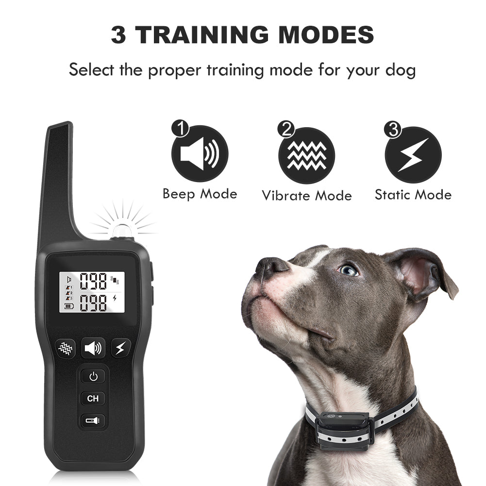Remote Control Pet Trainer