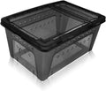 Portable Reptile Terrarium