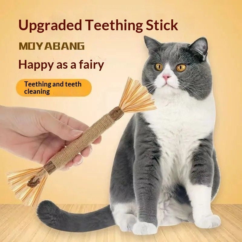 Cat Toy Gift Set