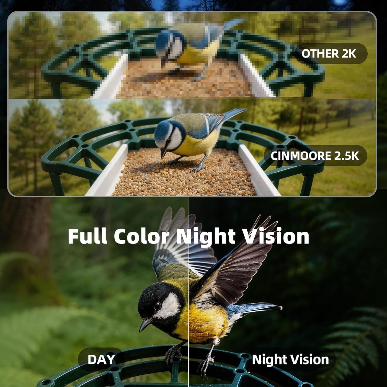 Solar Bird Feeder Camera with Motion Detection