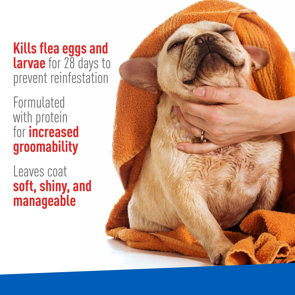 ADAMS Plus Flea & Tick Foaming Shampoo & Wash - 2 Pack