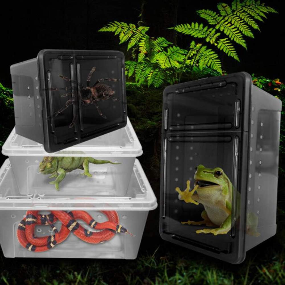 Portable Reptile Terrarium
