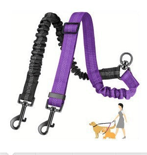 Double Leash for Dogs