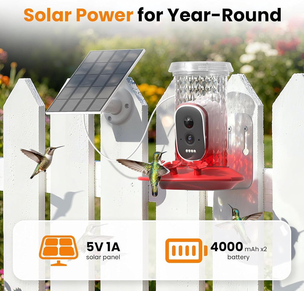 Solar Hummingbird Feeder with Camera
