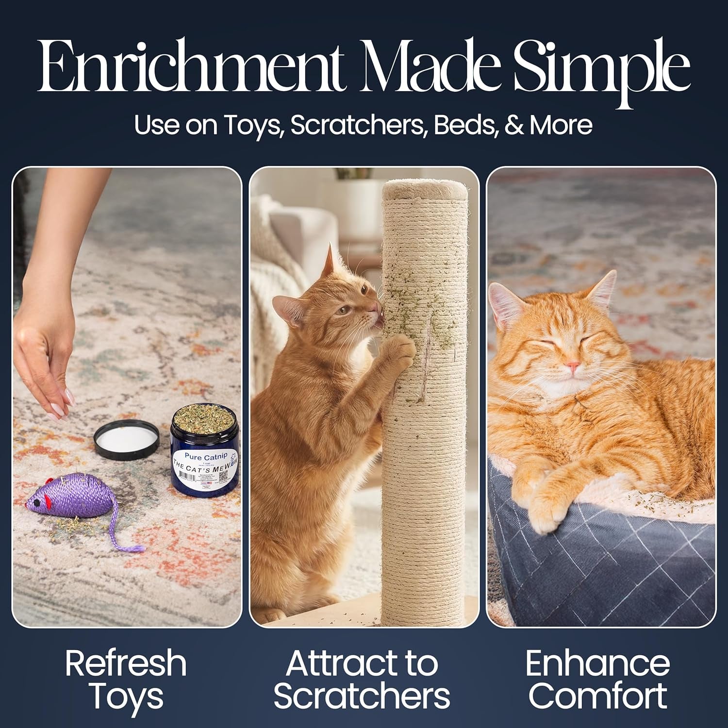Pure Catnip for Cats