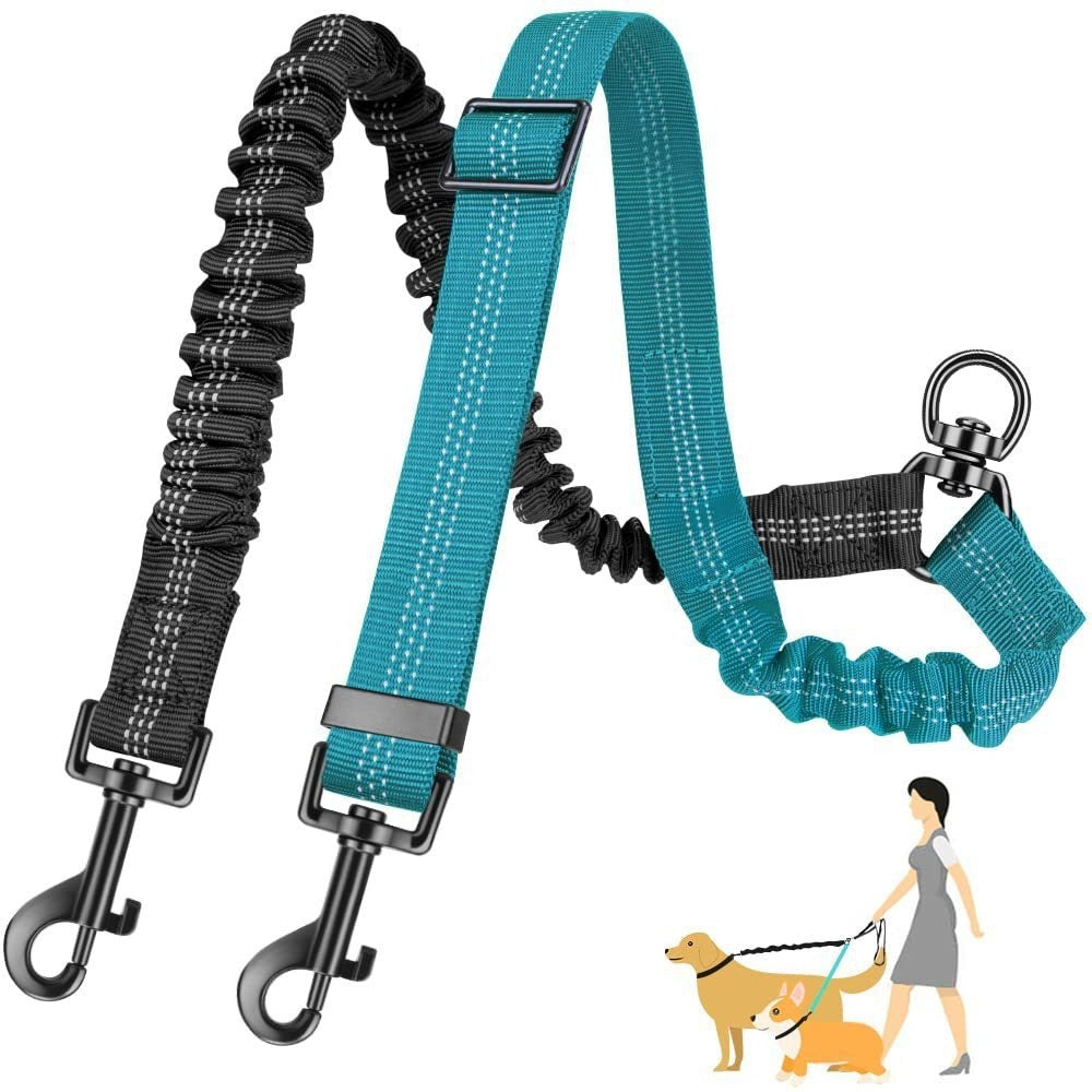 Double Leash for Dogs