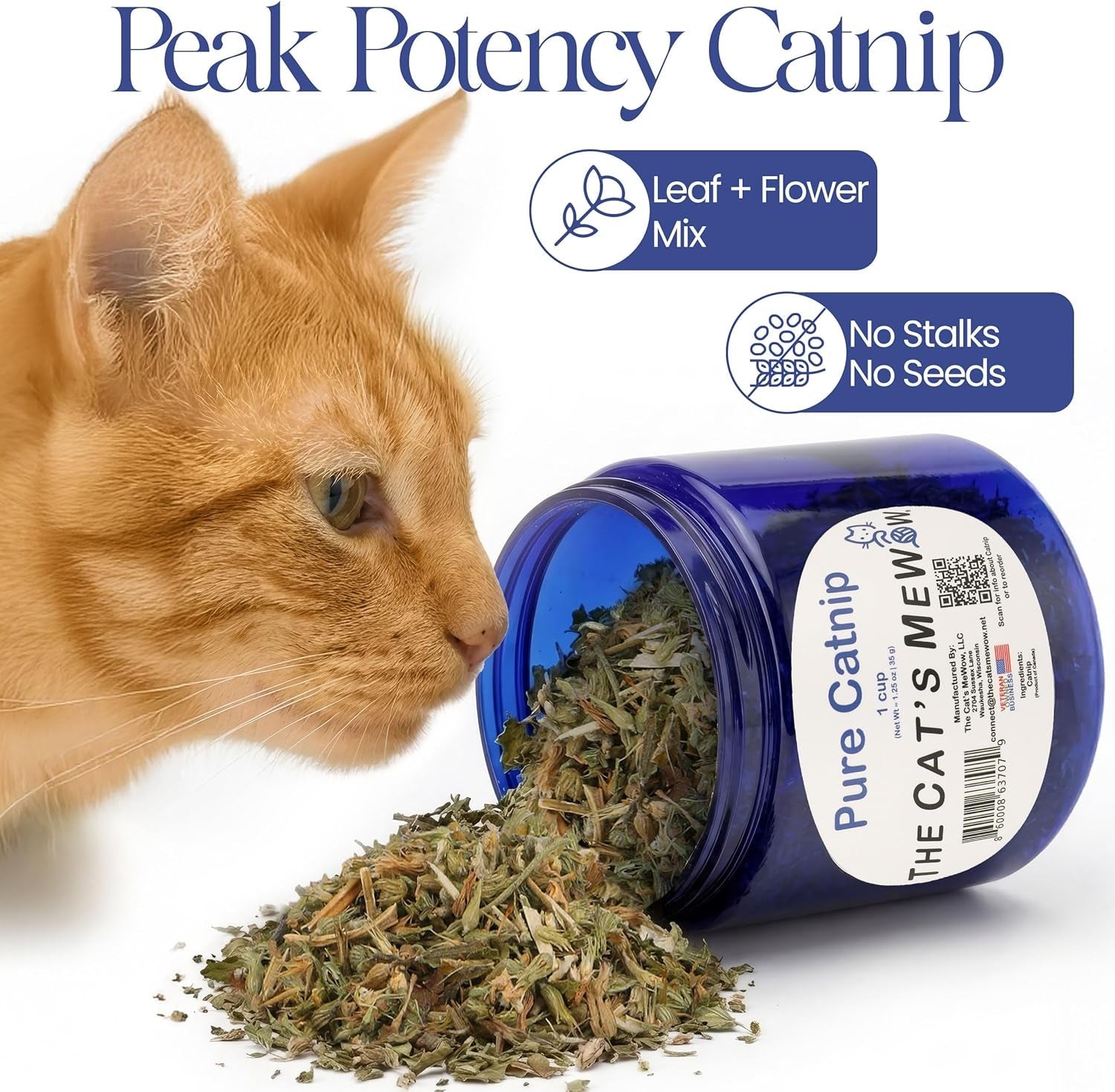 Pure Catnip for Cats