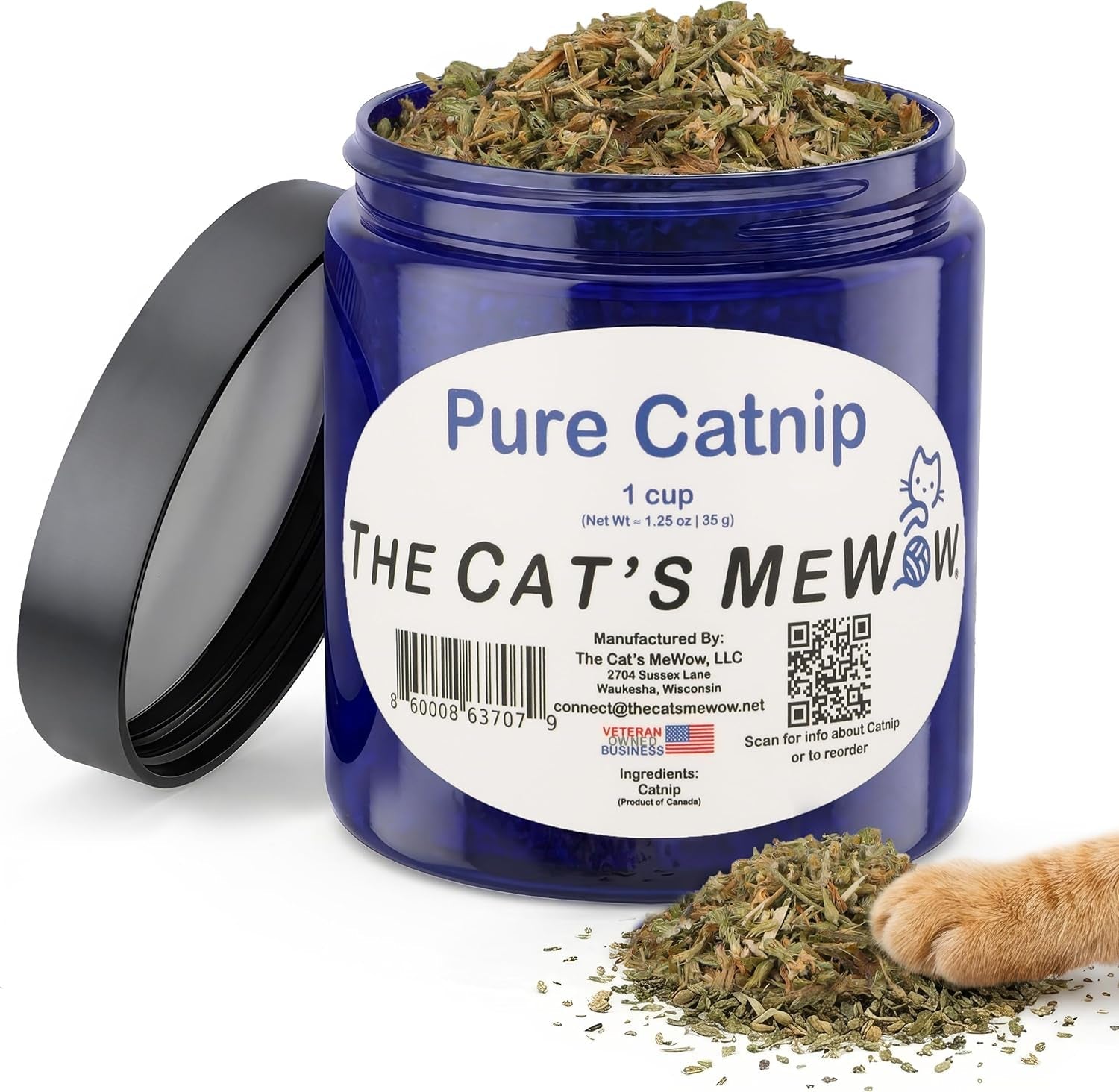 Pure Catnip for Cats