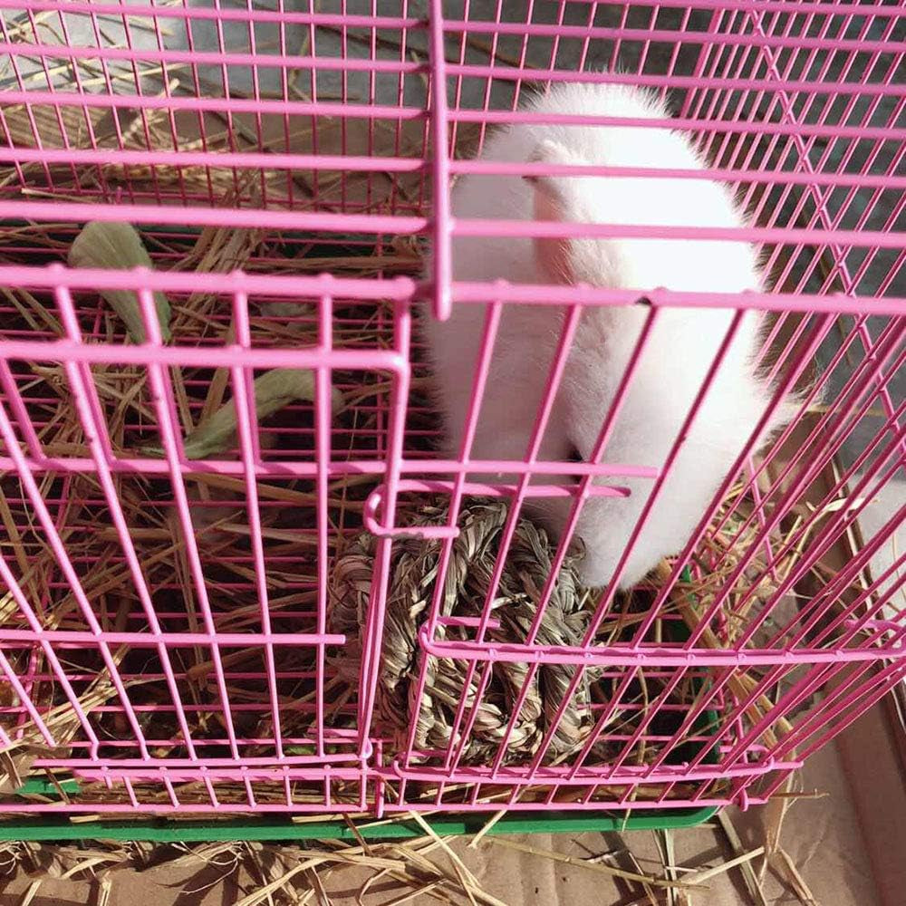 Timothy Grass Chew Ball for Bunnies, Hamsters, and Guinea Pigs! 🐰🐹🥳