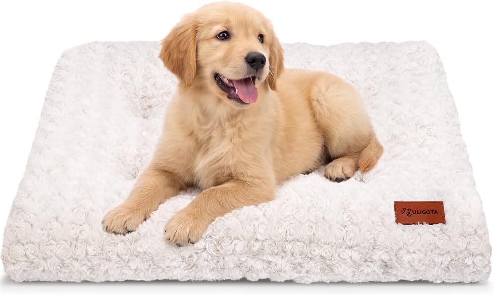 Plush & Washable Kennel Mat / 24x18