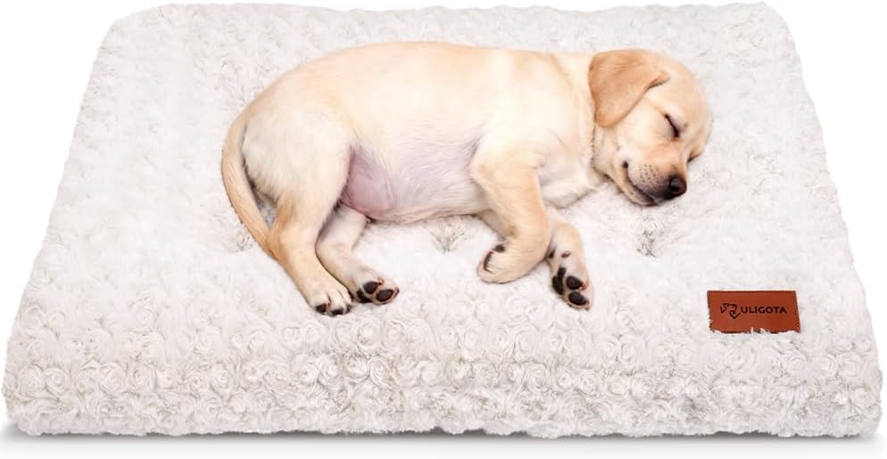 Plush & Washable Kennel Mat / 24x18